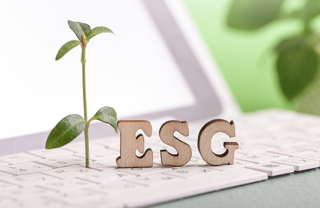impatto ESG