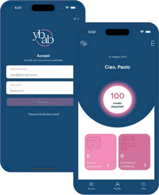 software personalizzato per aziende